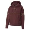 Dames Sweatshirt Met Capuchon Puma Power Deco Glam FL -Dames Sportkleding Winkel puma 671756 42 0