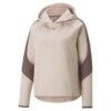 Dames Sweatshirt Met Capuchon Puma Evostripe -Dames Sportkleding Winkel puma 849808 47 mag4522833 1